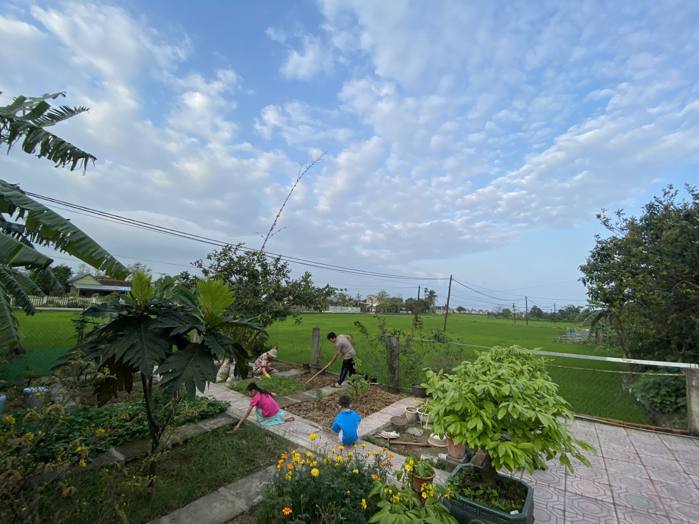 L&agrave;m vườn l&agrave; t&igrave;m niềm vui cho ch&iacute;nh m&igrave;nh  v&agrave; tạo ra những b&agrave;i học th&uacute; vị cho c&aacute;c con - Ảnh: H.C.D